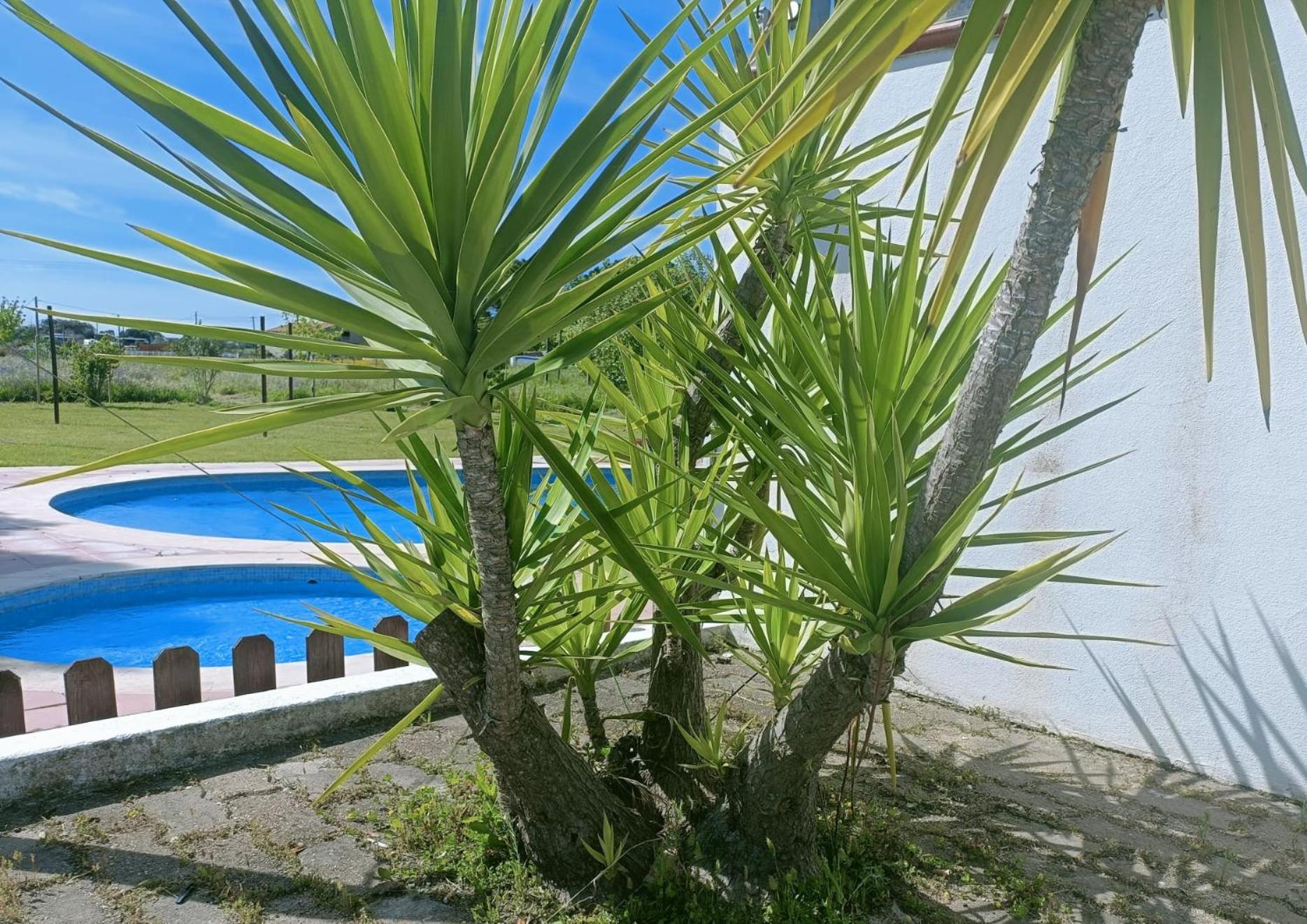Casa Do Vale Hotel Эвора Экстерьер фото